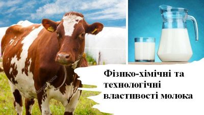 Відкрите бінарне заняття з дисципліни «Загальна біохімія»